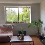 Casa Lily