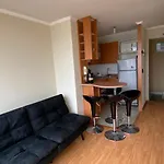 Acogedor Departamento Santiago Centro