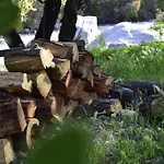 Iluminada Casa De Piedra Entre Bosque Y Rio