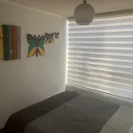 Apartamentos Armando