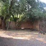 Cabana Alfalfal