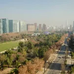 Loica Suites II