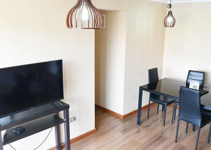 Comodo Y Acogedor Apartamento En Santiago Centro