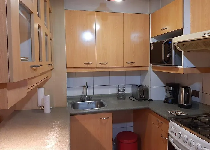 Departamento Full Amoblado 1 Dormitorio