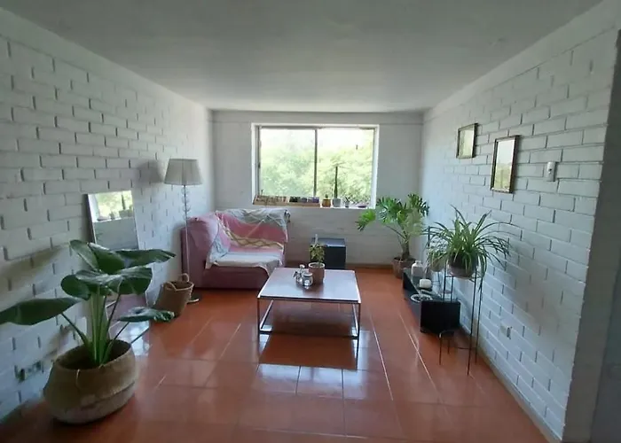 Casa Lily
