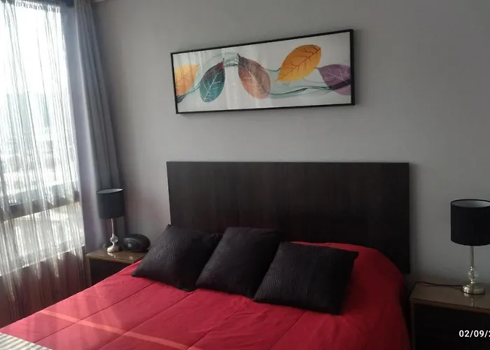 Hermoso Estudio En Quinta Normal