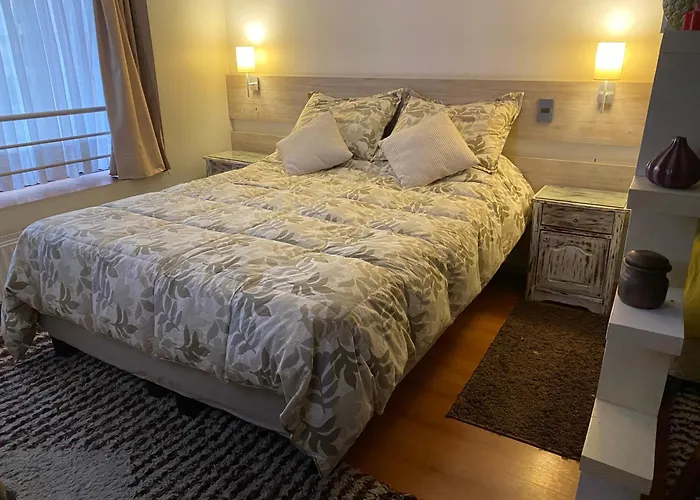 Apartamento Amoblado , En El Corazon De Providencia, Incluye Estacionamiento