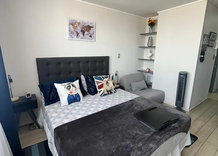 Apartamento En Santiago Centro Cerca De Movistar Arena, Caupolican