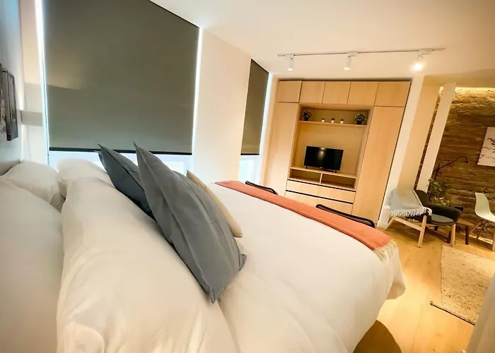 Hom I Amplio Y Luminoso Apartamento En Lastarria
