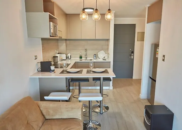 Hom I Amplio Y Comodo Depto 2D2B En Santiago Centro