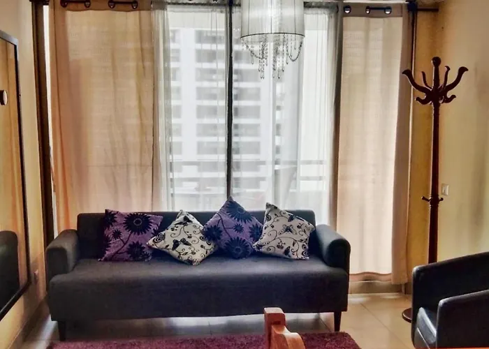 Arriendo Departamento A Turistas En Santiago