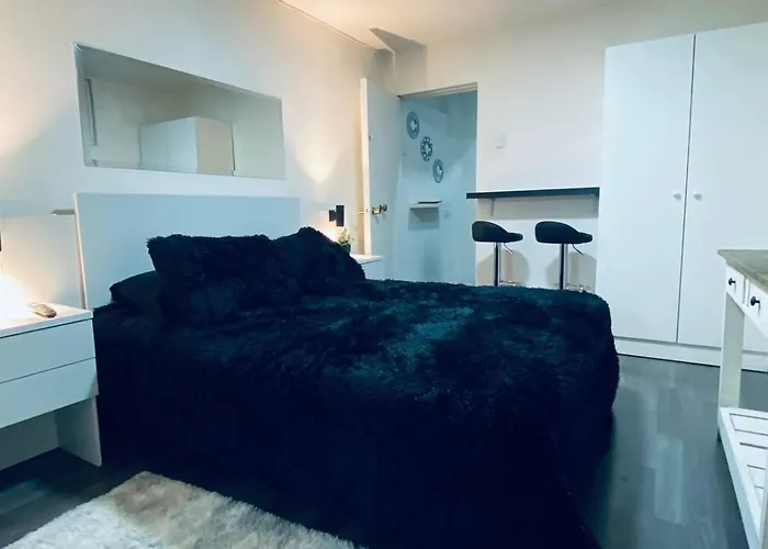 Studio Lastarrias II