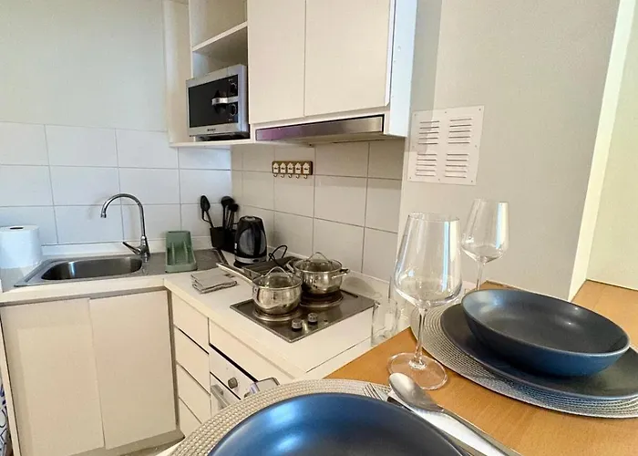 Apt Santiago Lastarria