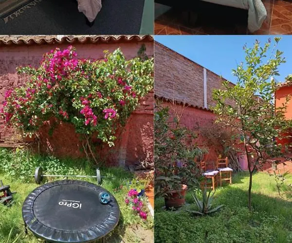 Hostal Einstein - Low Cost Tr4Nsfer From The Airport
