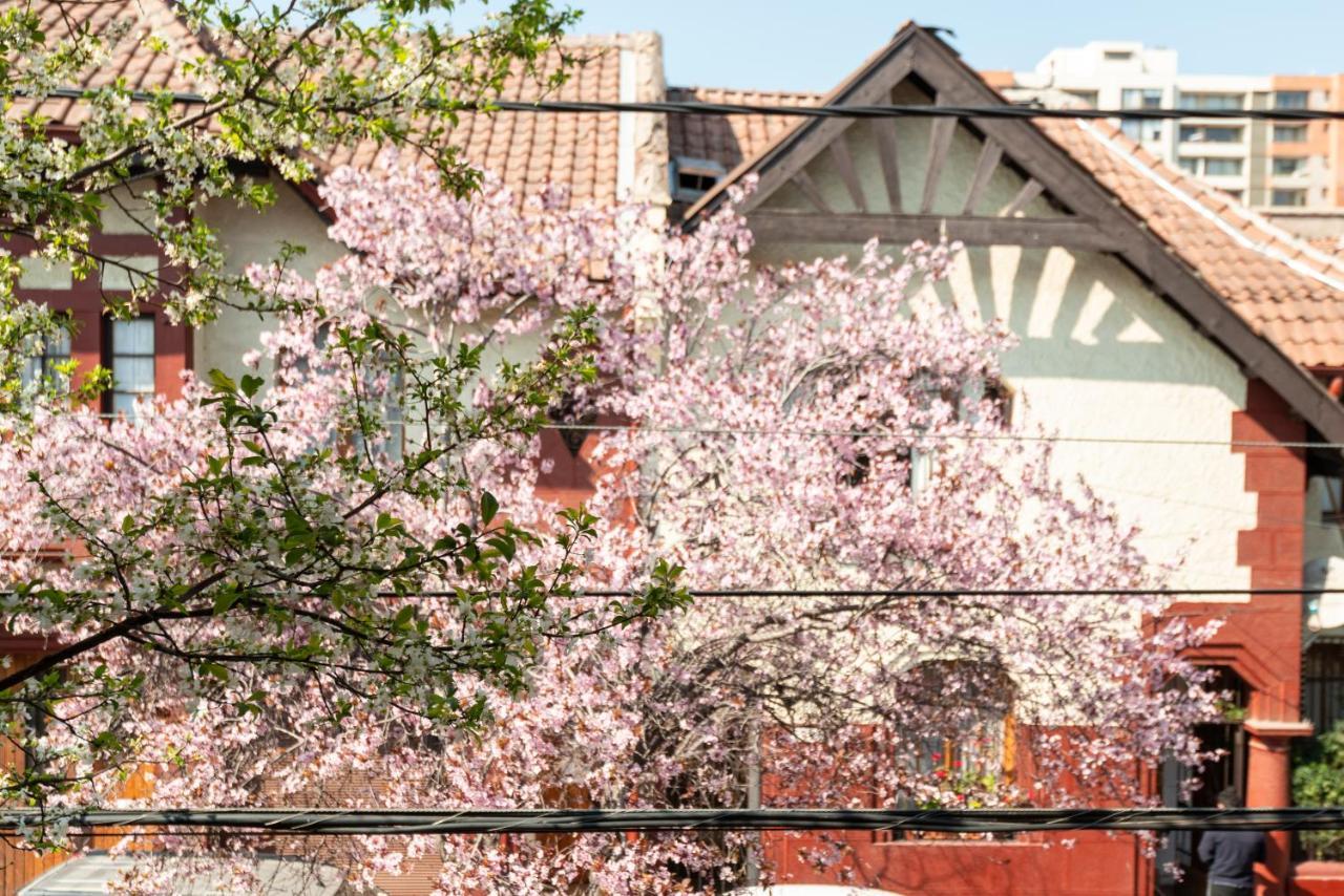 Providencia Bed & Breakfast Santiago