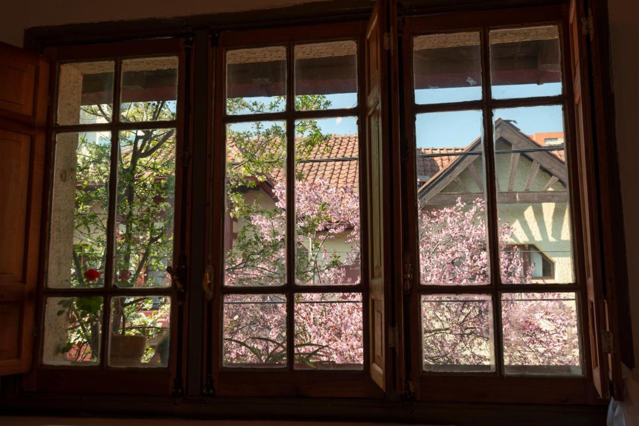 Providencia Bed & Breakfast Santiago