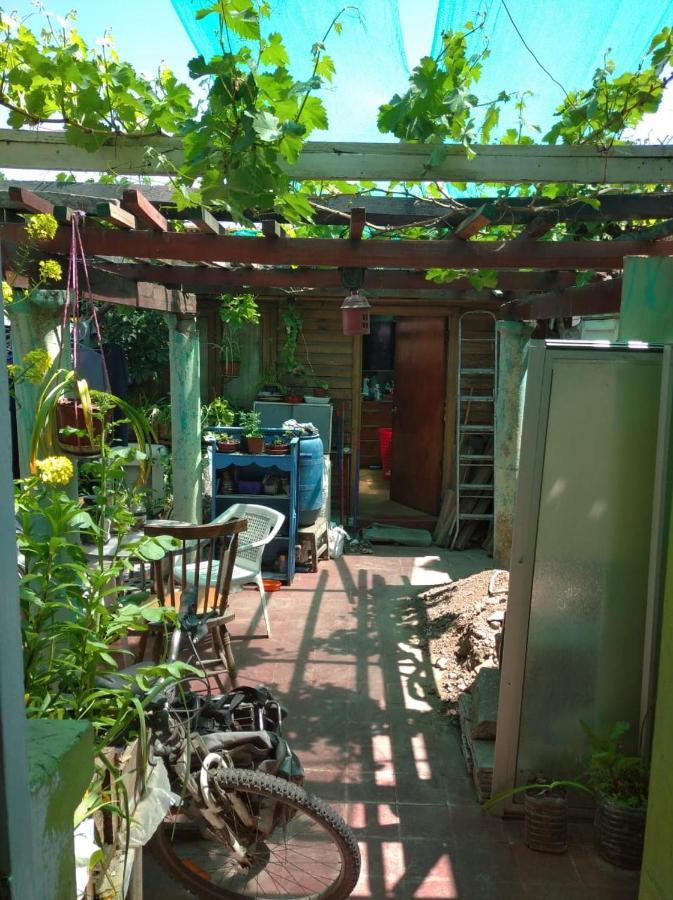 Homestay Gatos De Campo