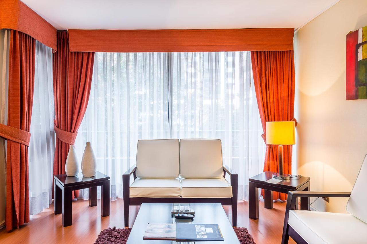Rent A Lyon Santiago