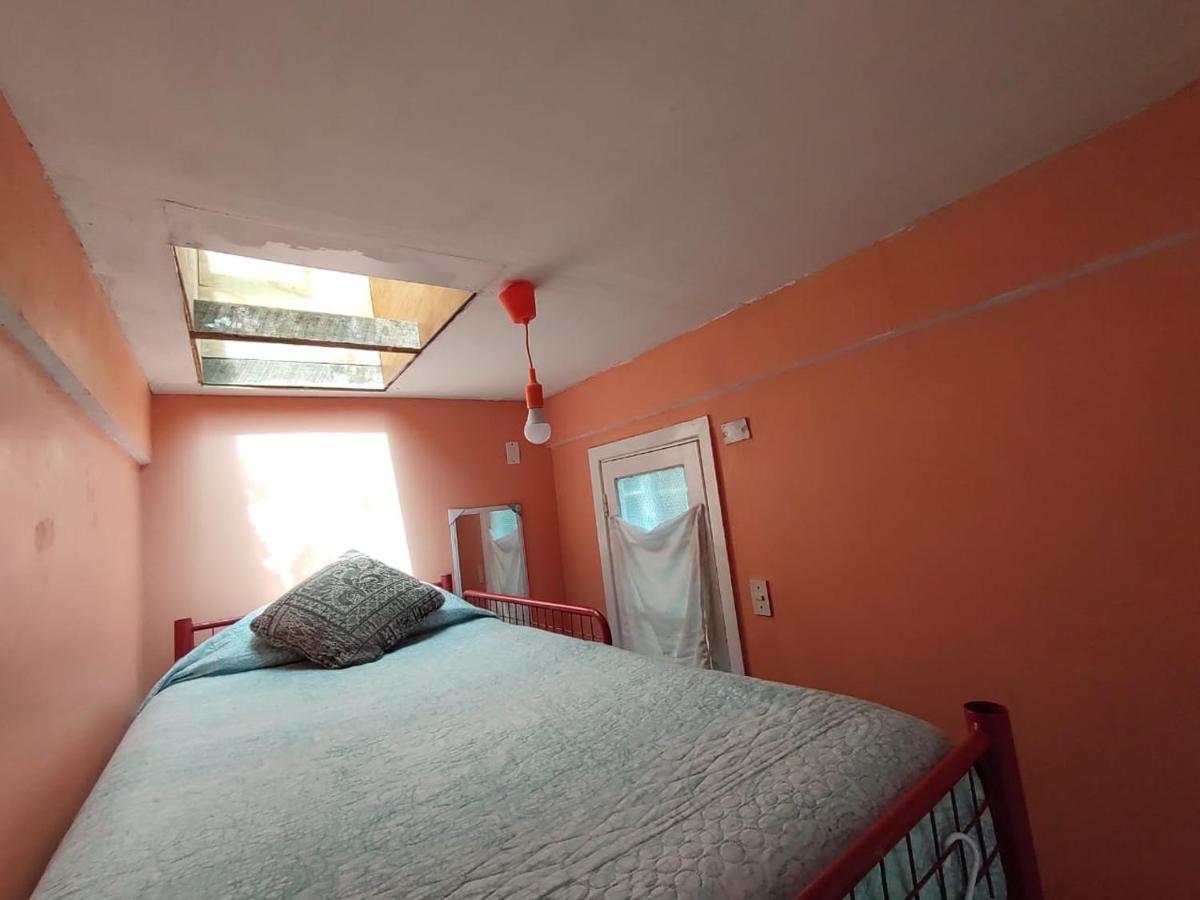 Gatos De Campo Homestay Santiago