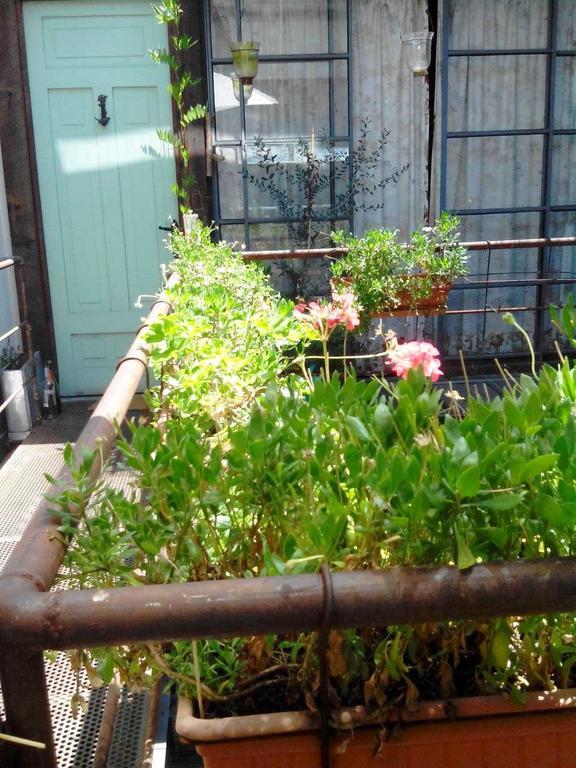 Patio Yungay Bed & Breakfast