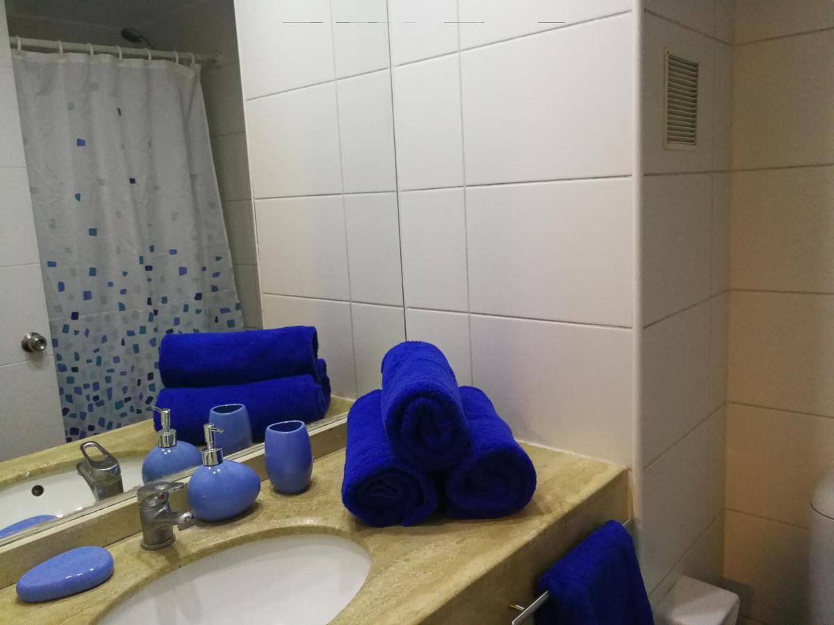 Departamento Con Terraza R&m Santiago