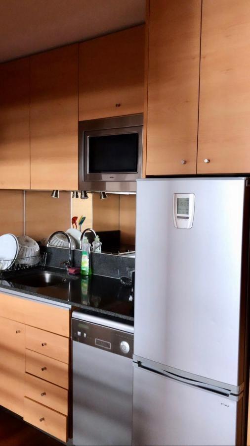 Providencia Travel Suites Apartment Santiago