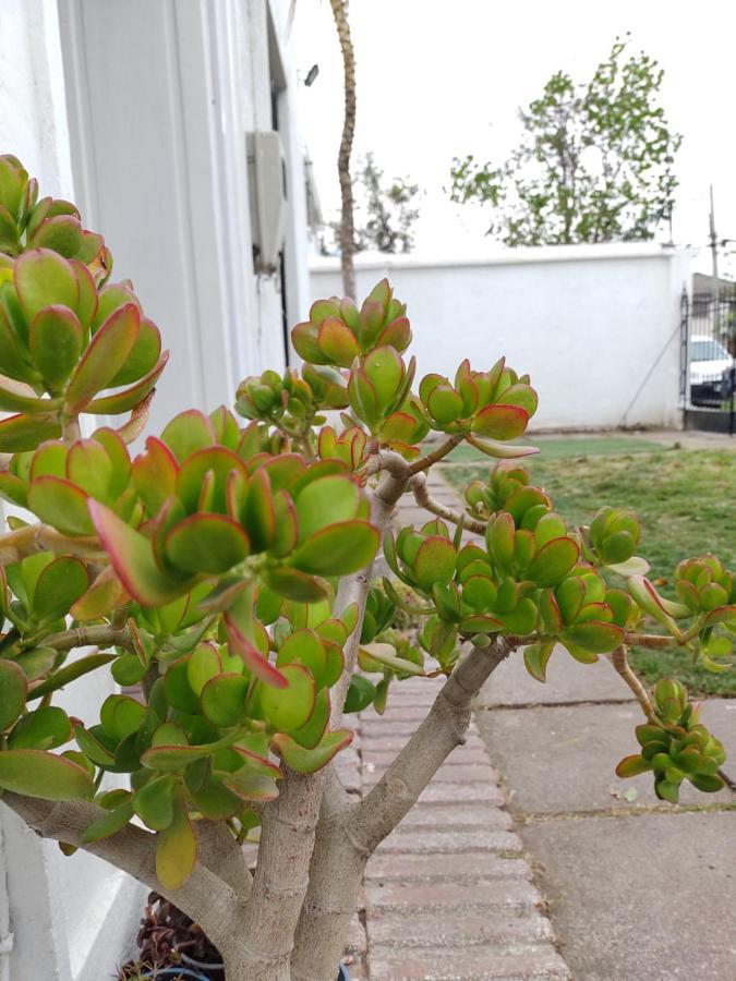 Casona Providencia