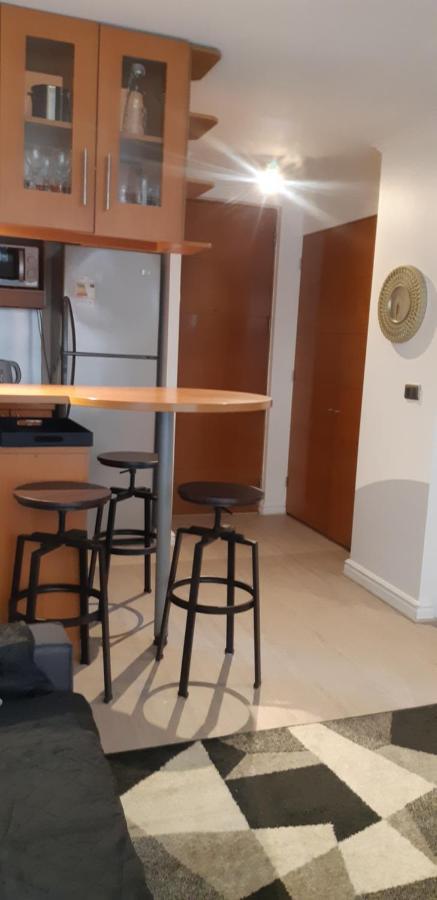 Departamento Comuna Providencia, Cercano Metro Leones Y Pedro De Valdivia Apartamento