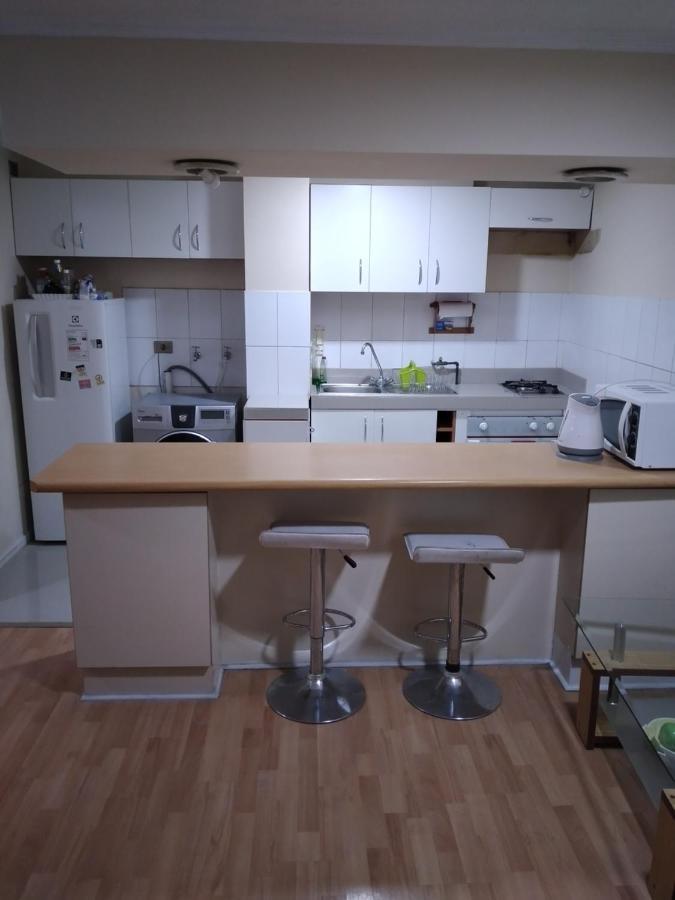 Centrico Y Amplio Apartment Santiago