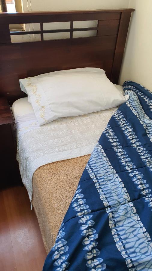 Apartment Metro Manuel Montt Santiago