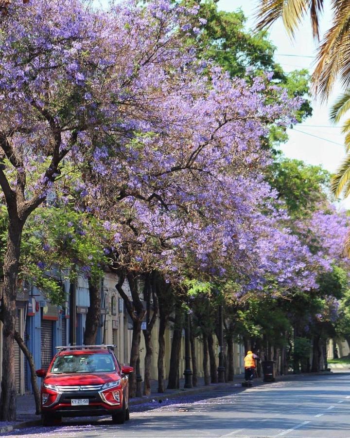 Casa Dos Leones Inn Santiago