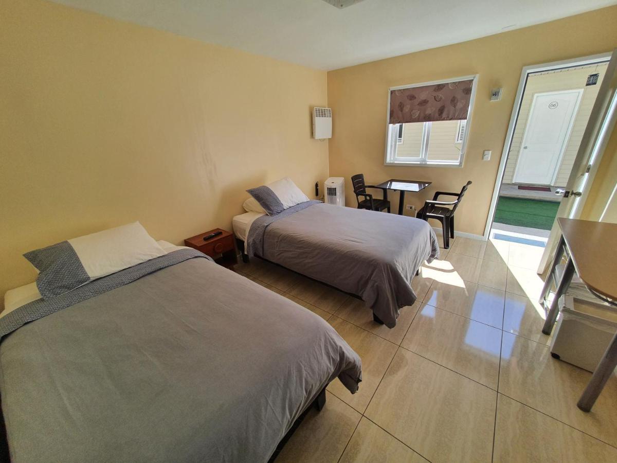 Willson 3* Santiago