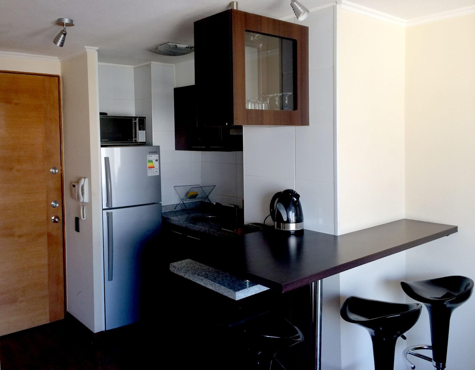 Furnished Apartamento Santiago