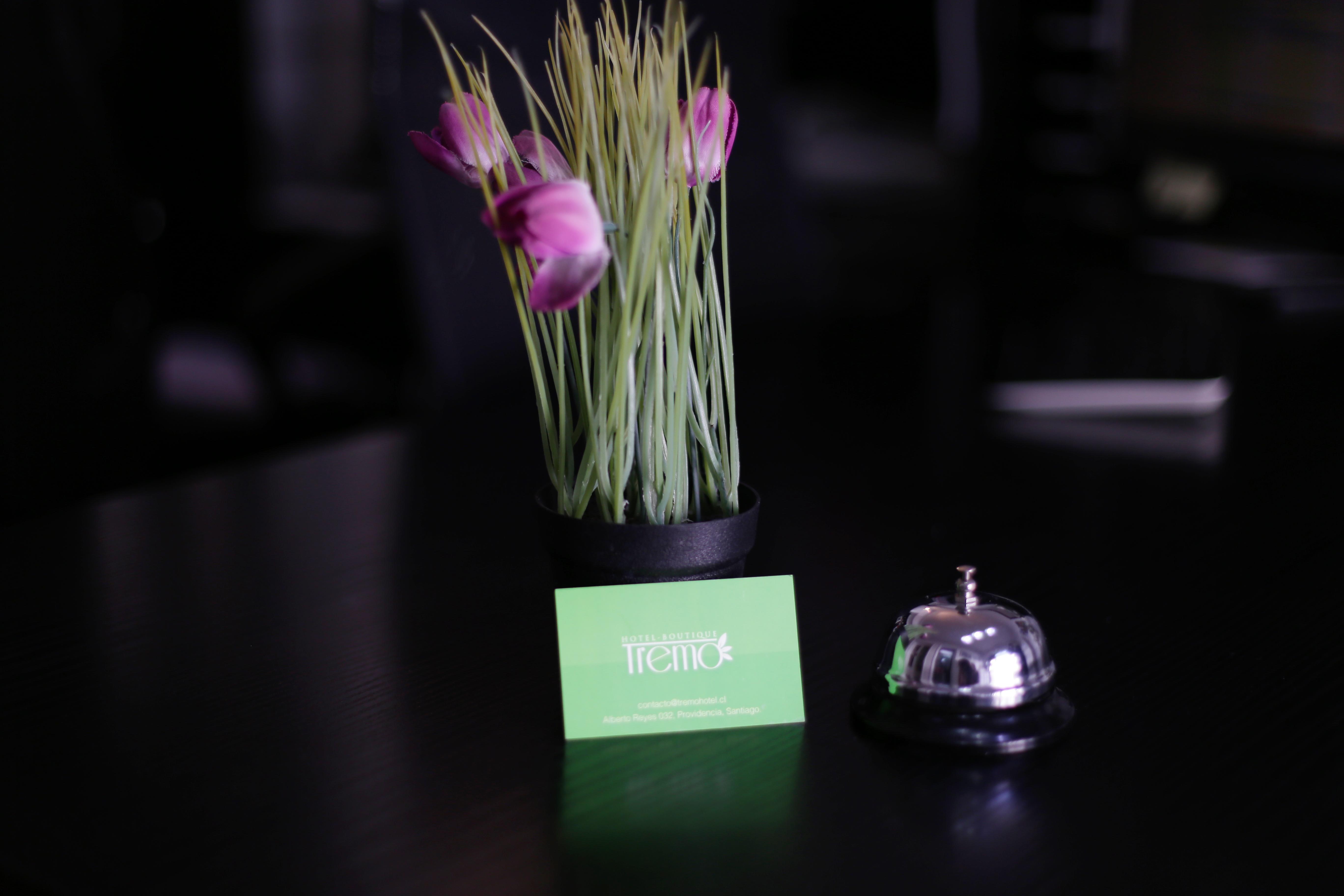 Boutique Tremo Bellavista 3*