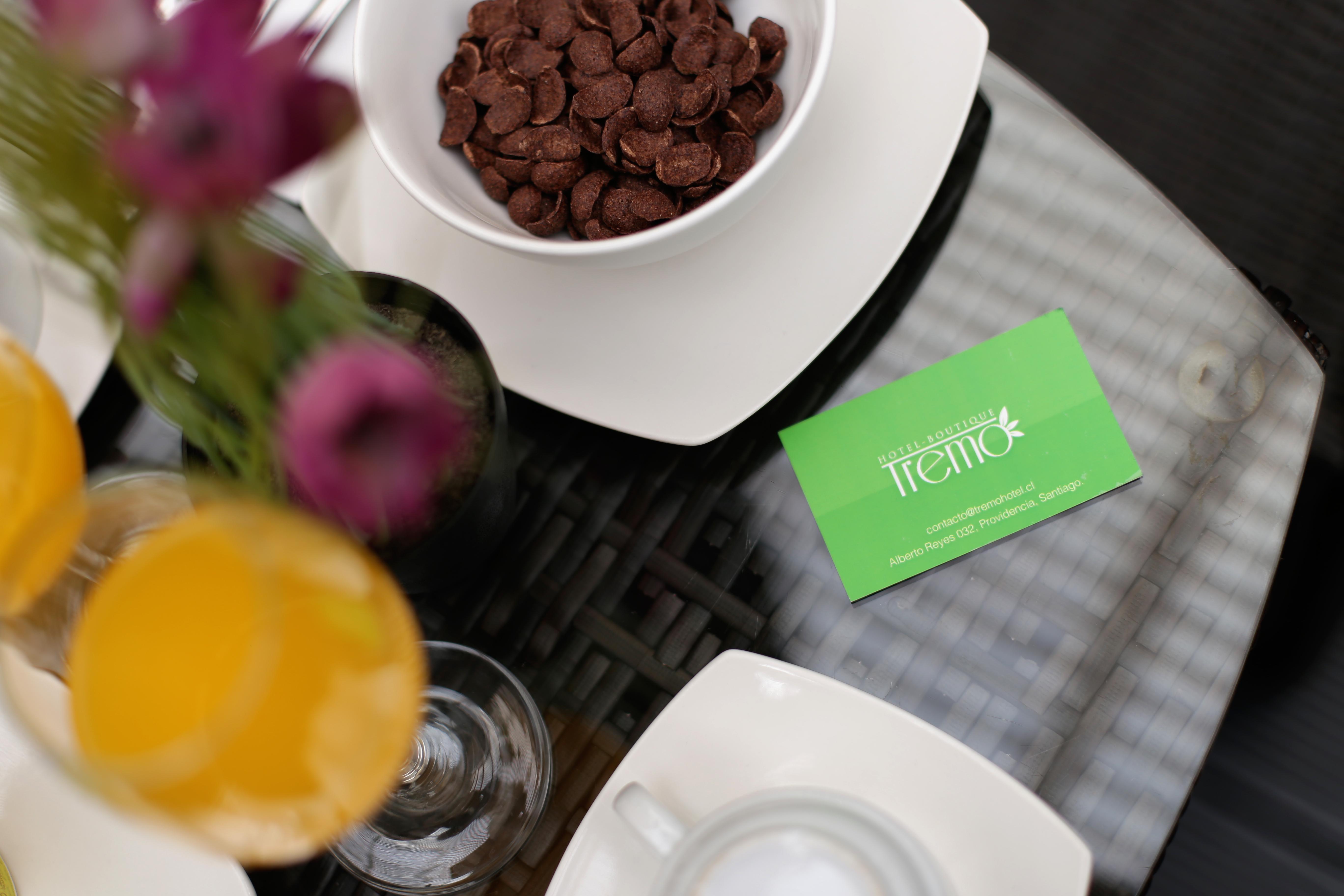 Boutique Tremo Bellavista Hotel Santiago