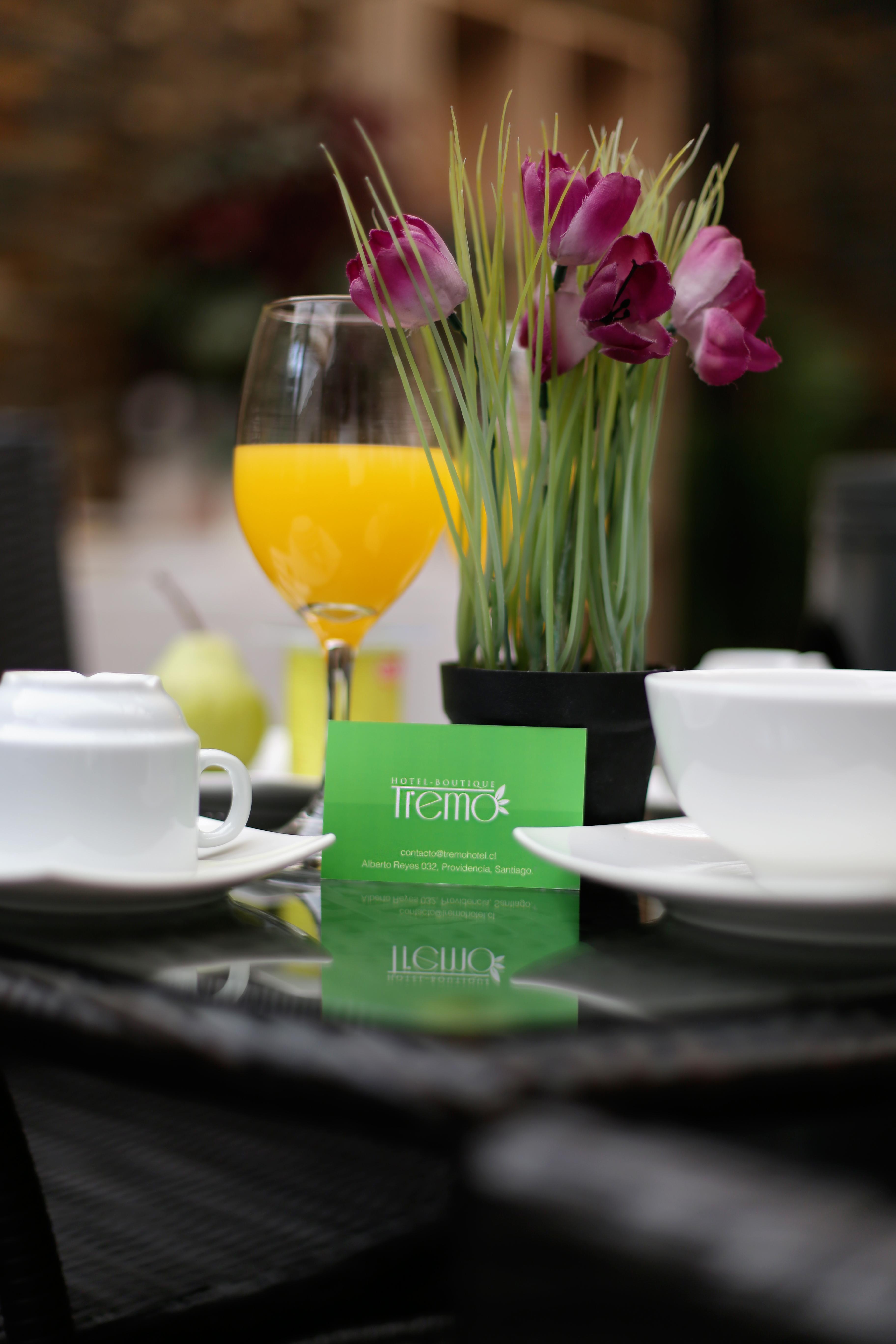 Boutique Tremo Bellavista Hotel