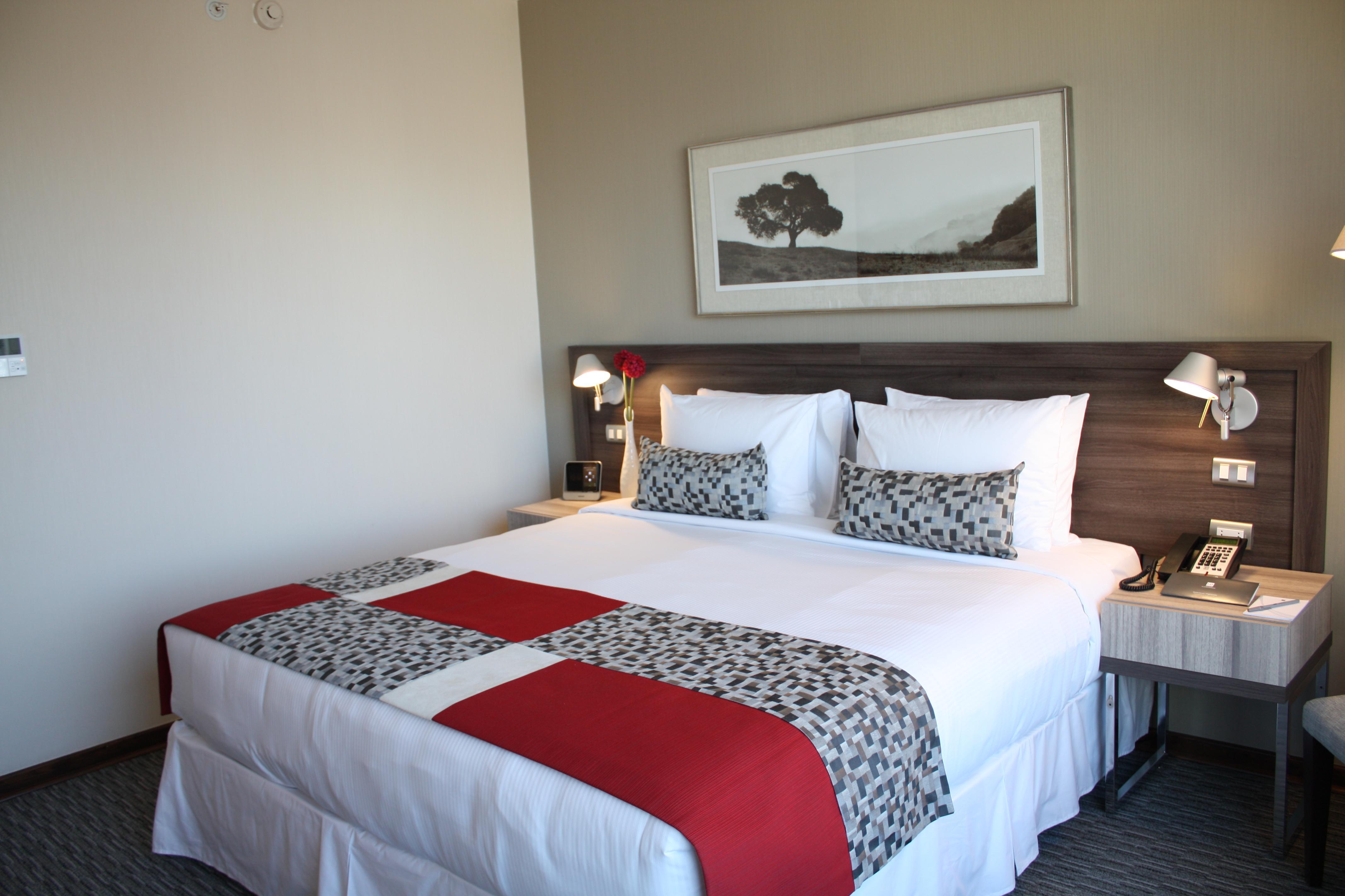 Radisson Blu Plaza El Bosque Hotel 4*