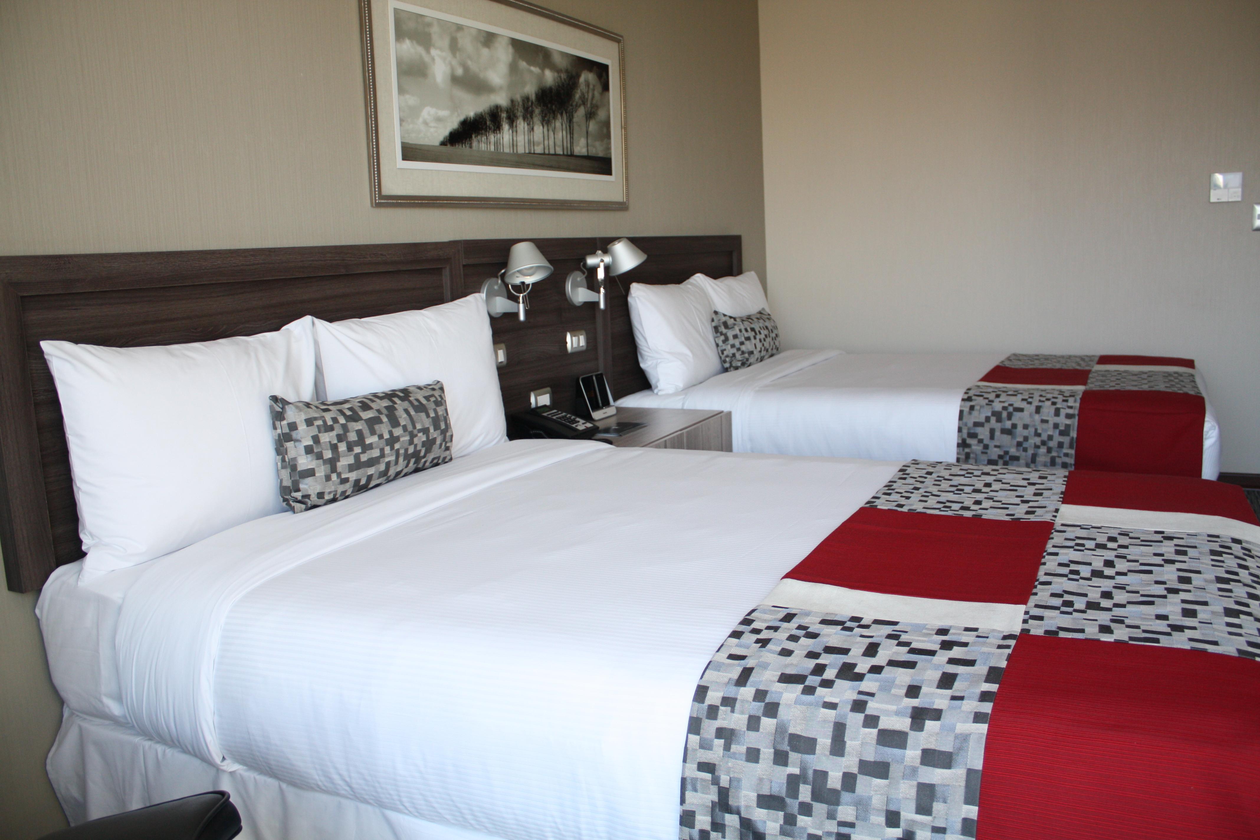 Hotel Radisson Blu Plaza El Bosque