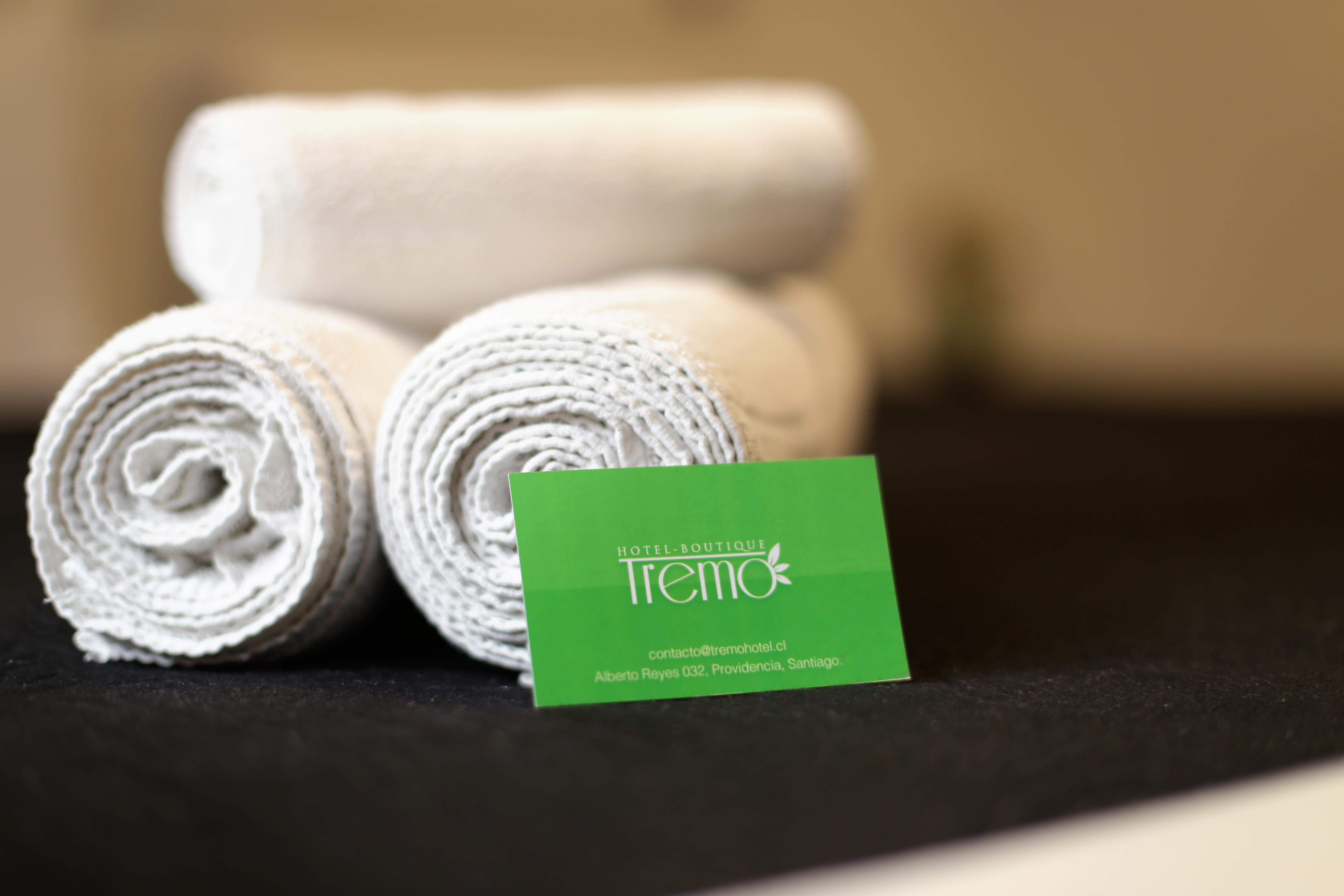 Boutique Tremo Bellavista Hotel Santiago