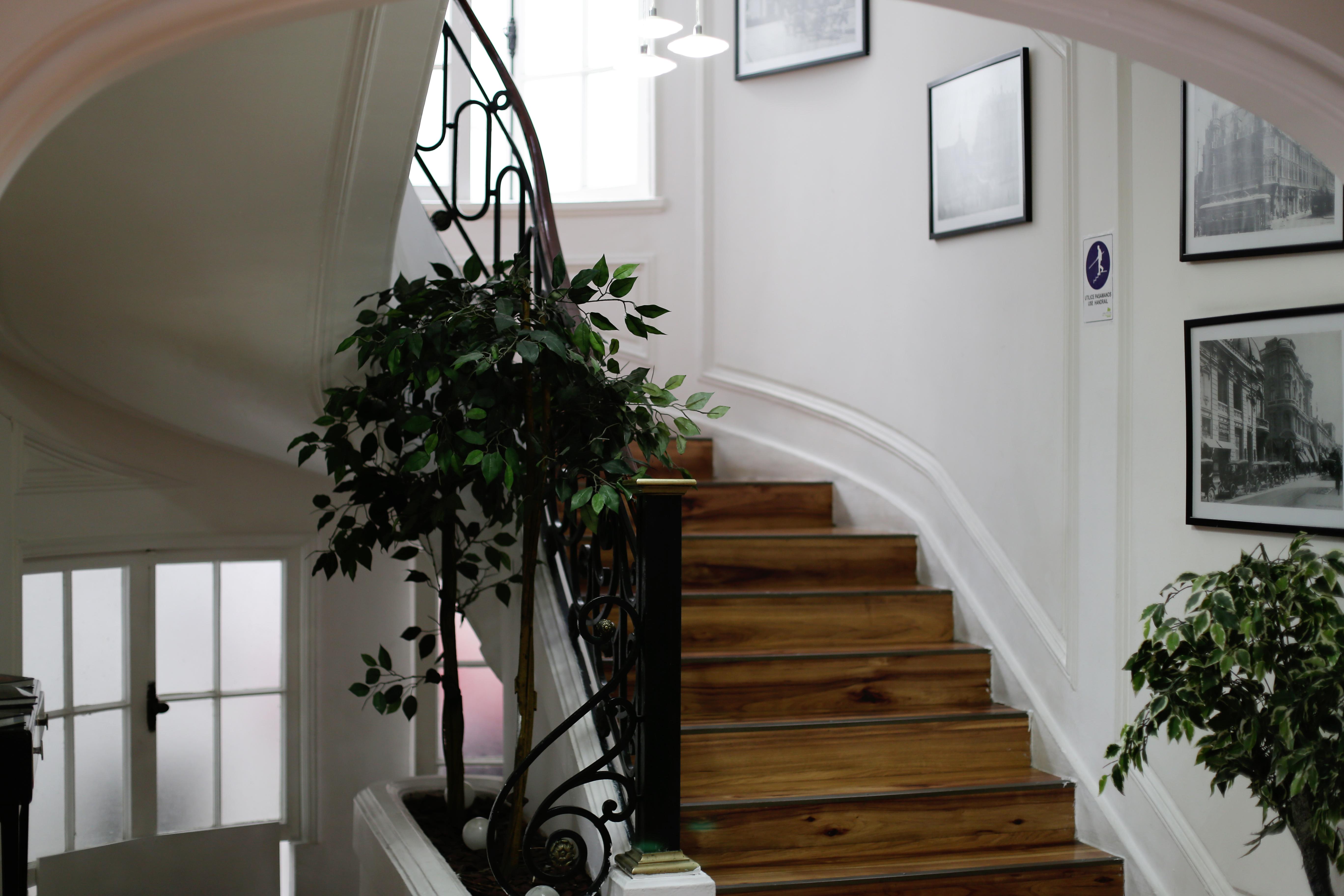 Boutique Tremo Bellavista