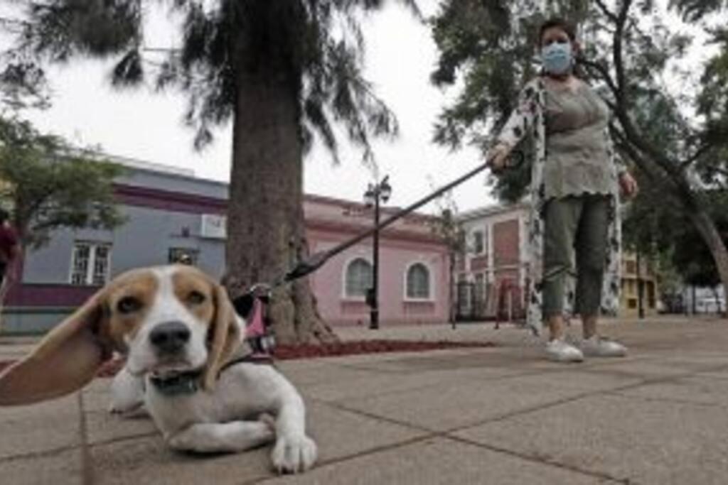 Căn hộ Depto En Barrio Republica