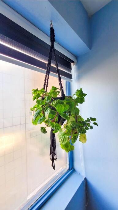Apartamento Un Oasis En El Centro De Santiago de Chile