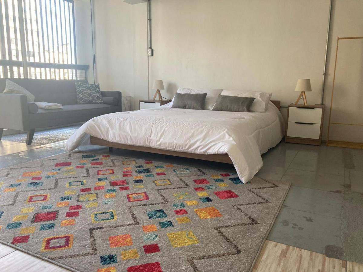 Apartment Hermoso Loft Industrial, Con Terraza. Santiago