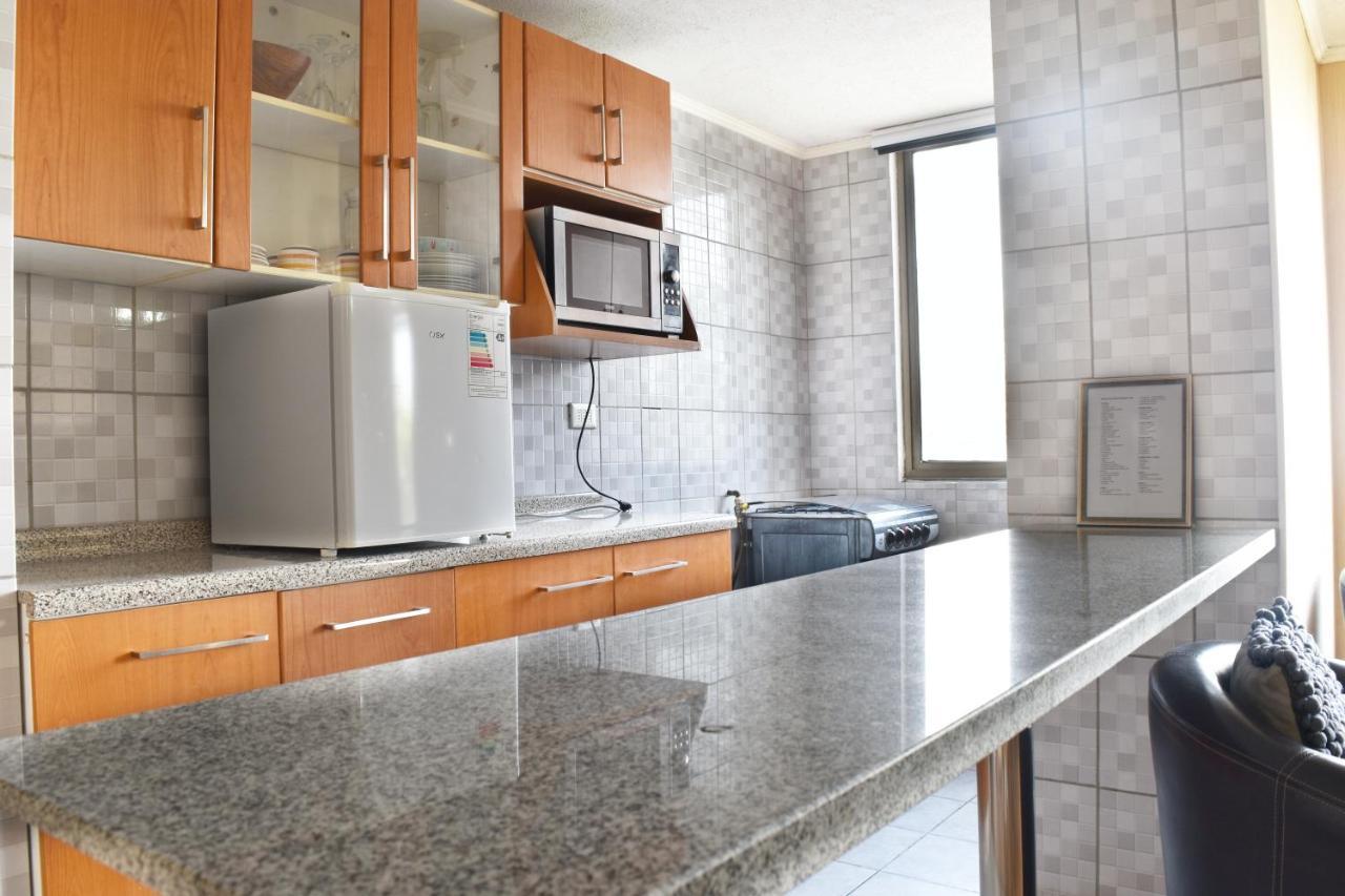 Comodo Y Acogedor Apartamento En Centro Santiago