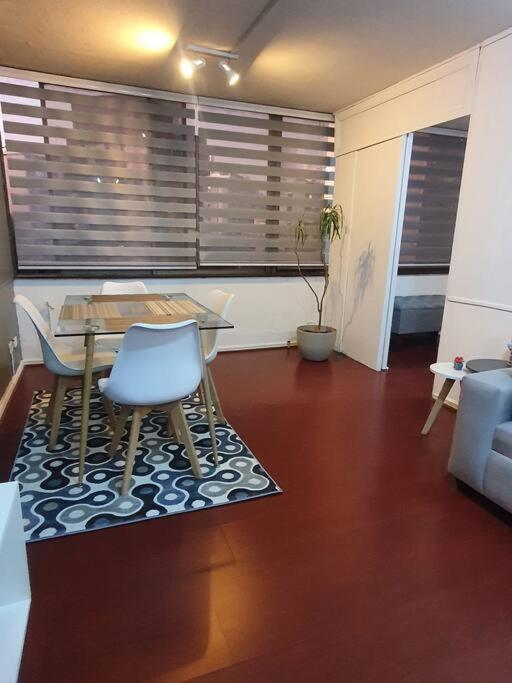 Hermoso Apartamento En Corazon De Providencia Apartamento Santiago