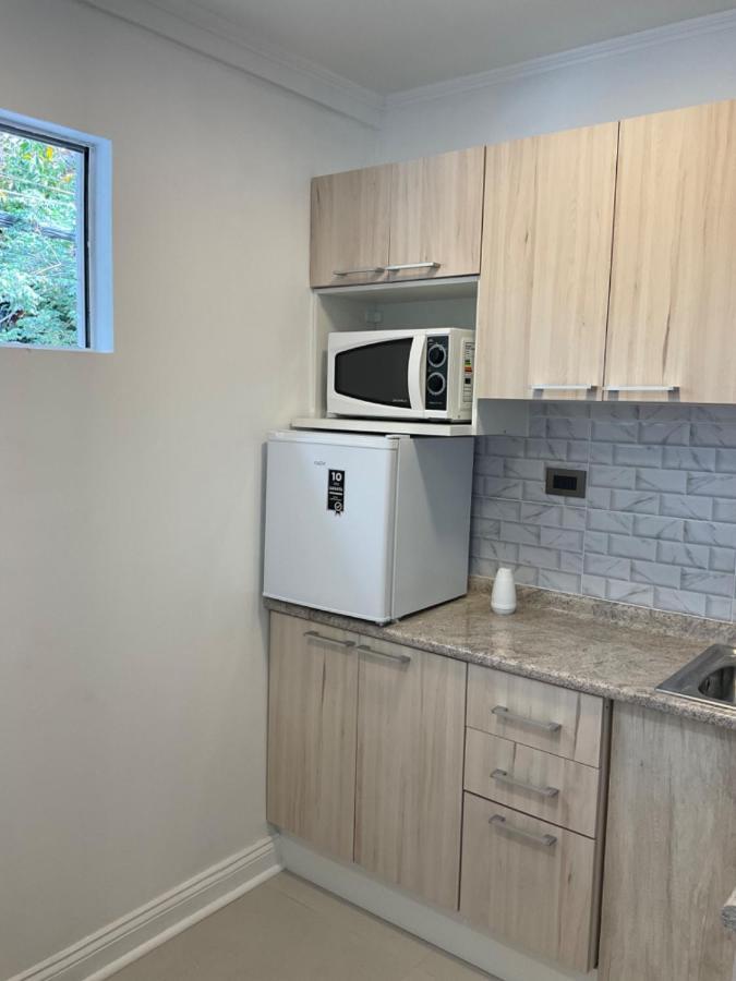 Providencia Lado Metro Manuel Montt Apartamento *