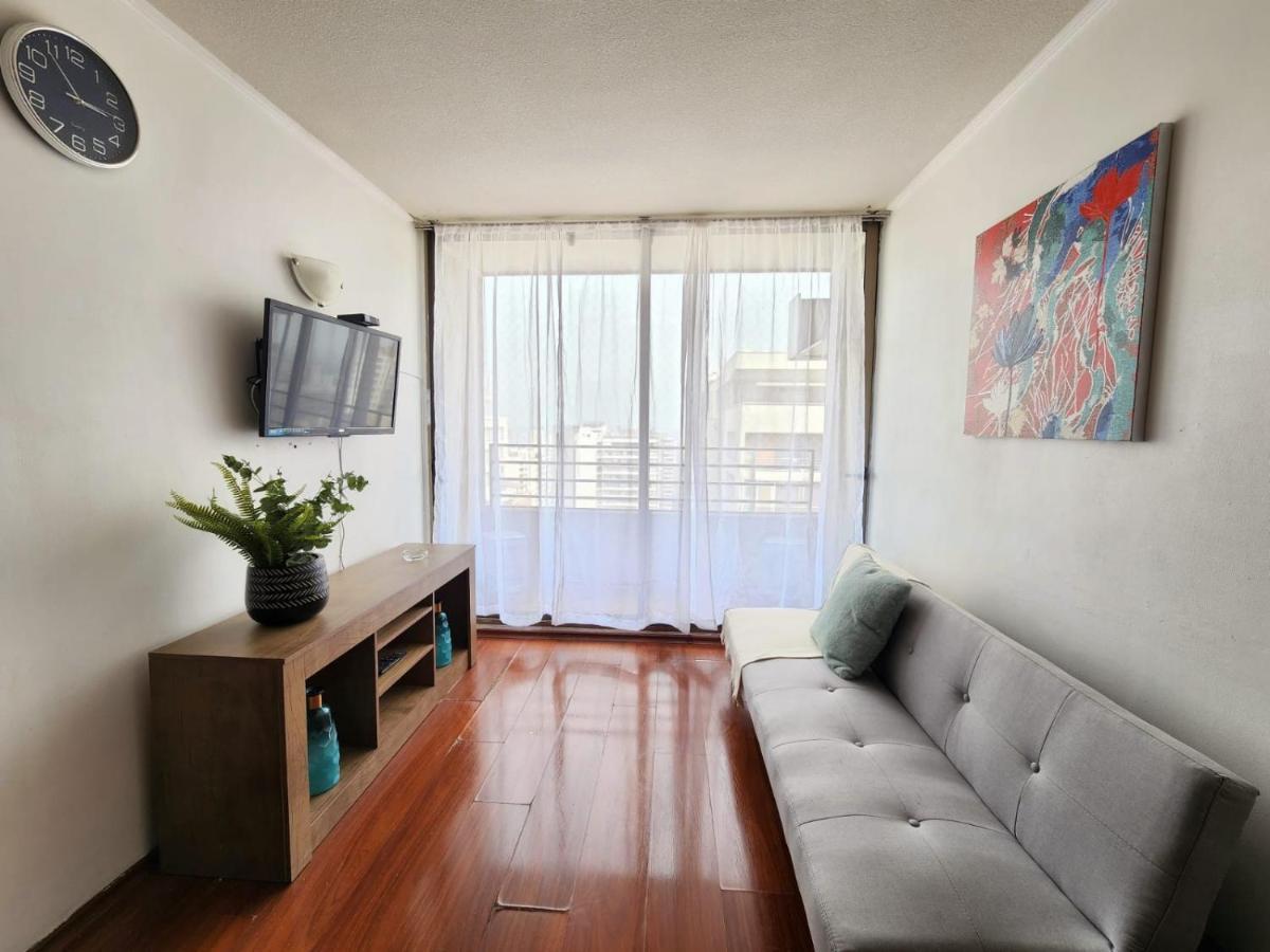 Suagonsuites *