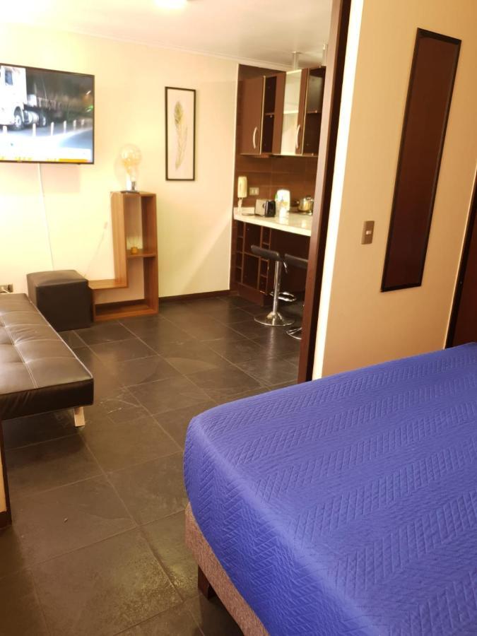 Departamento Con Terraza R&m Santiago