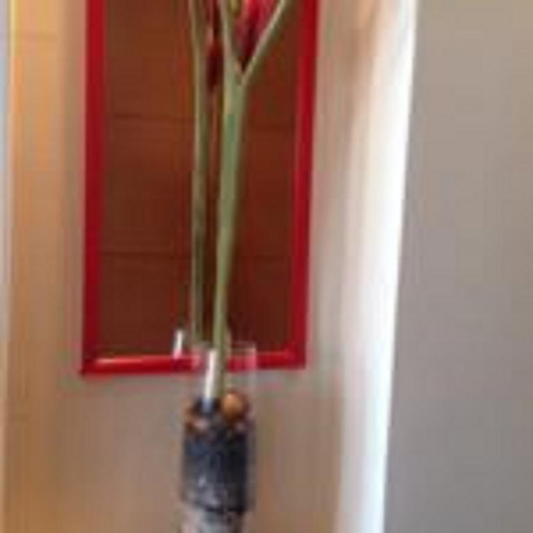 Apartment Exmonarca By Design *