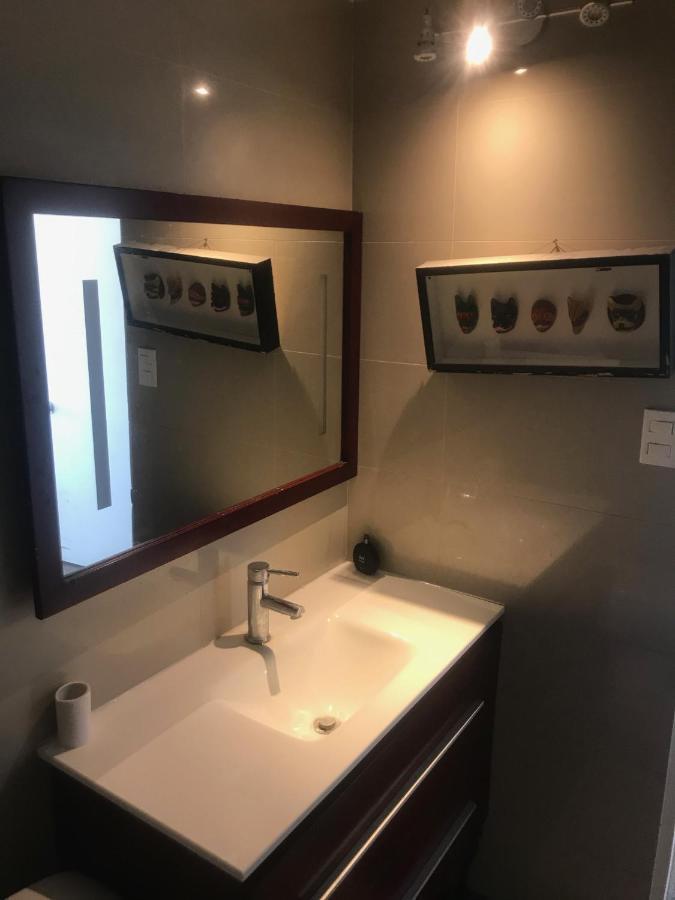 Centrico Departamento A Metros De Barrio Lastarria Căn hộ Santiago